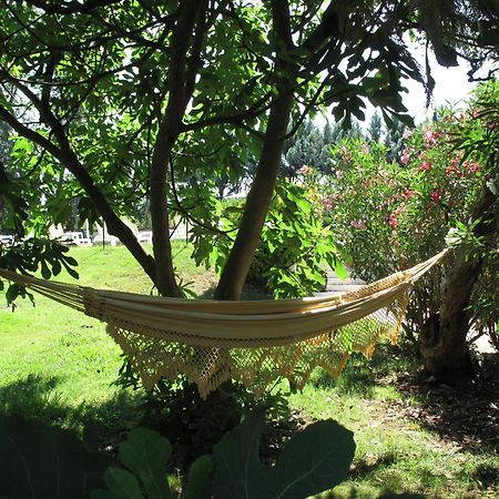 Residence Miro, Gites Avec Piscine Chauffee Et Tennis Les Arcs-sur-Argens ภายนอก รูปภาพ